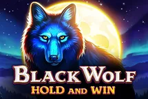 RTP quickspin honeyslot777